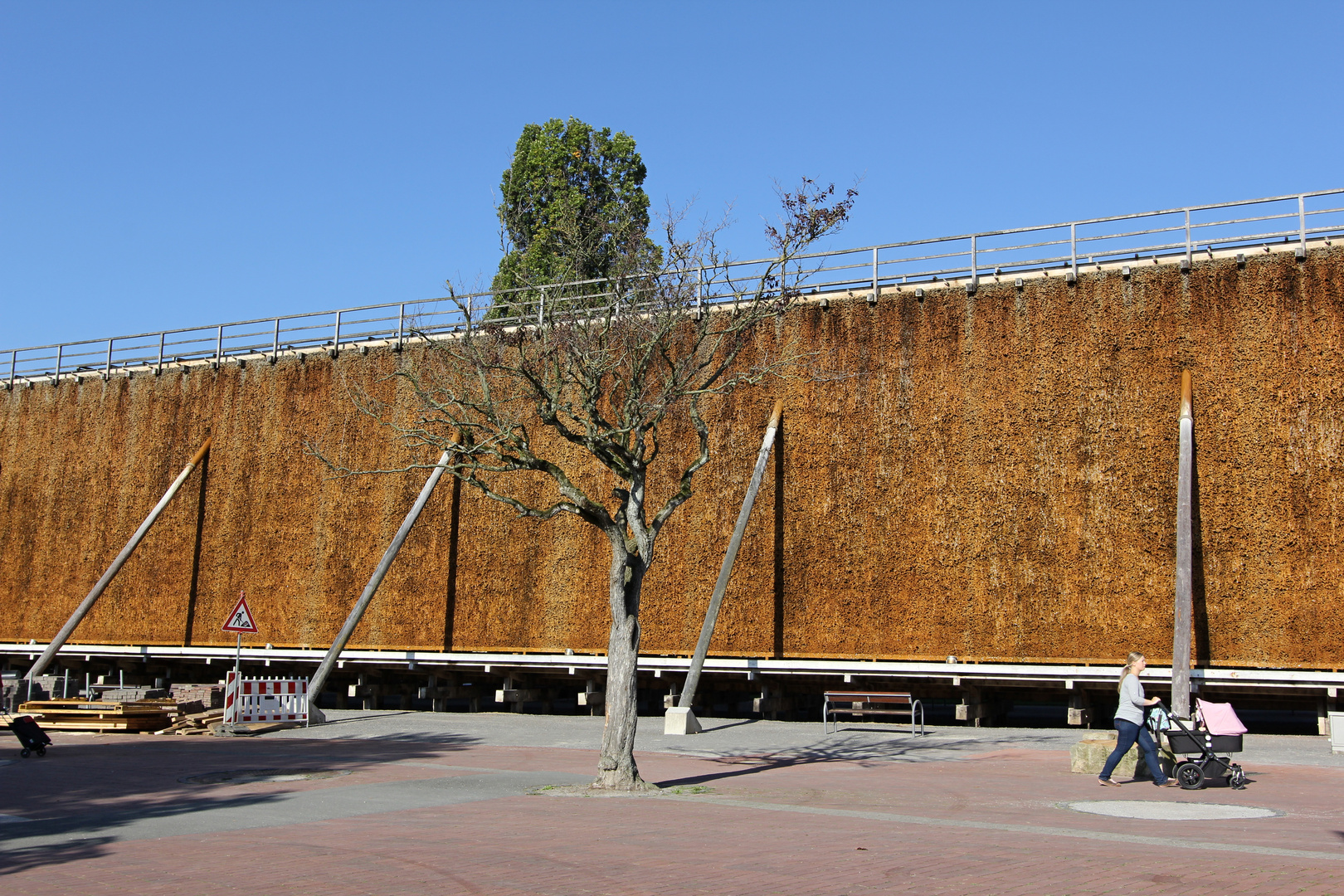 Die Saline und der tote Baum