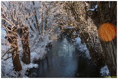 Die Salza in Nordhausen am Harz, im Winter