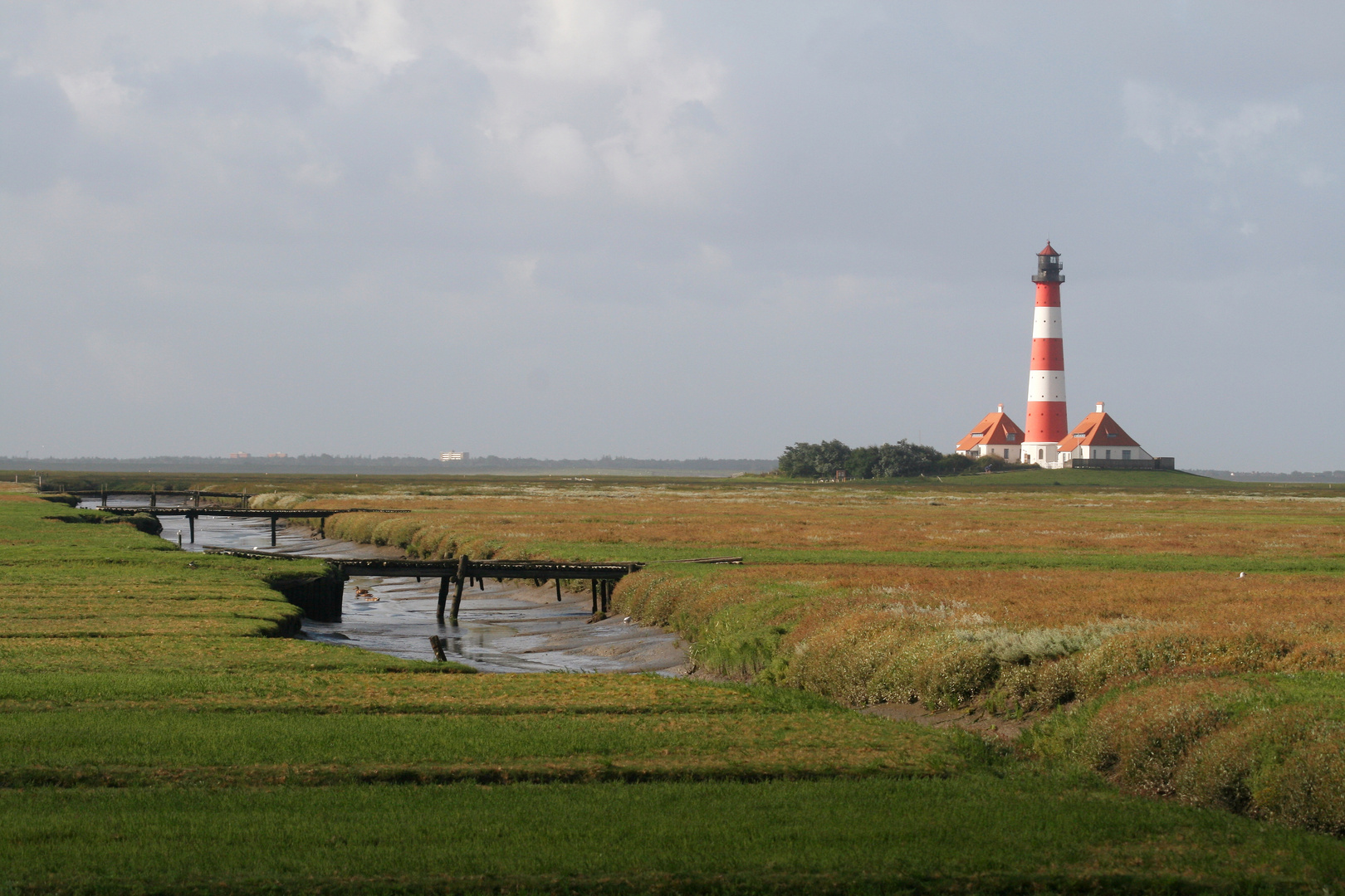 Die Salzwiesen am Leuchtturm Westerhever Sand