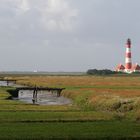 Die Salzwiesen am Leuchtturm Westerhever Sand