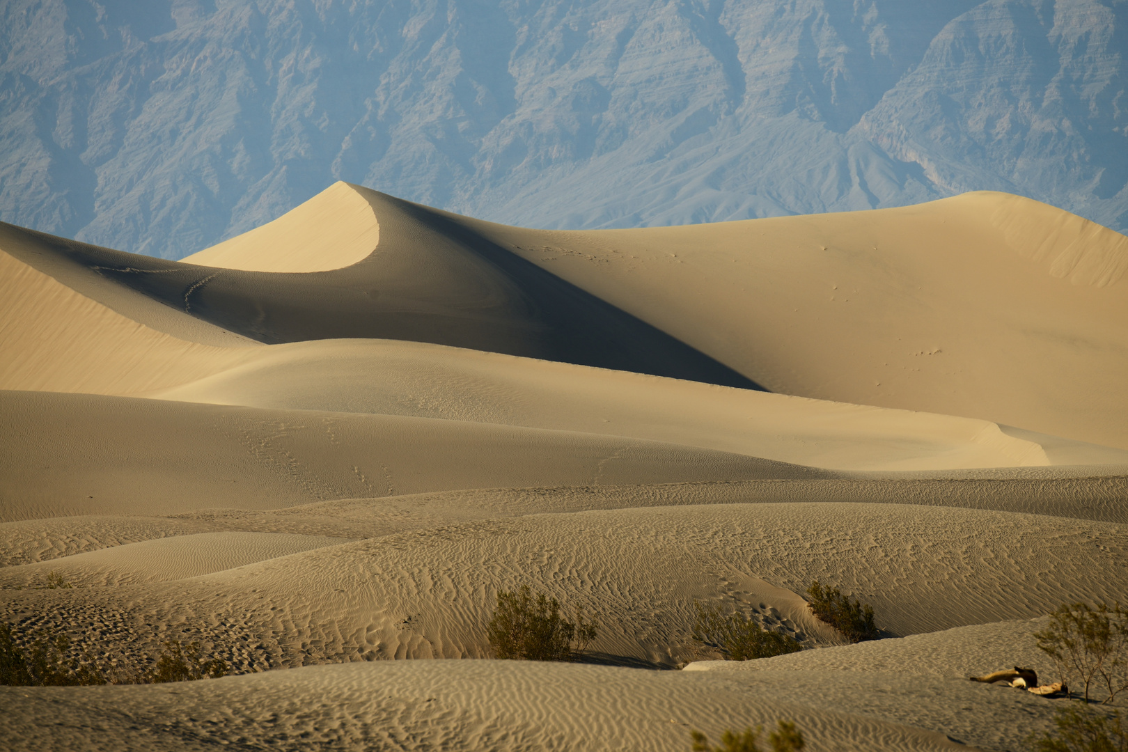 Die Sand-Dünen