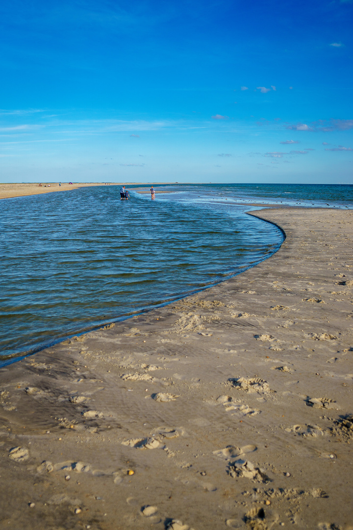 Die Sandbank 