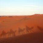 Die Sanddünen der Erg Chebbi Wüste (Marokko)