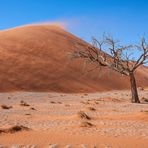 Die Sanddünen der Namib [1]