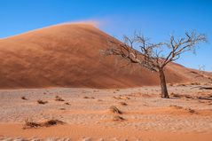 Die Sanddünen der Namib [1]