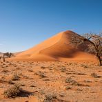 Die Sanddünen der Namib [2]