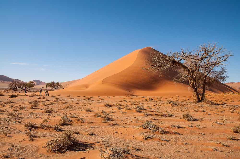 Die Sanddünen der Namib [2]
