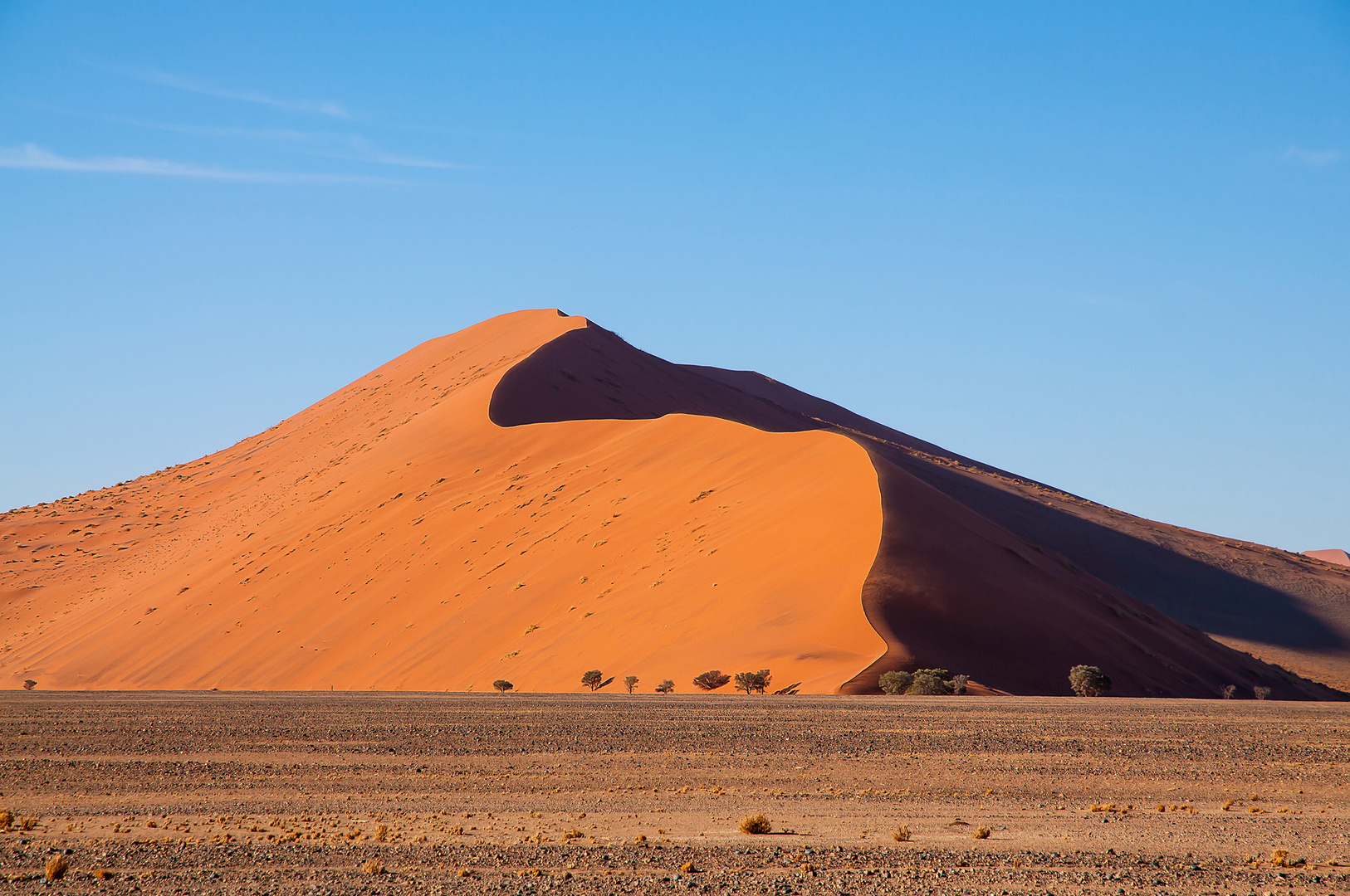 Die Sanddünen der Namib [3]