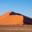 Die Sanddünen der Namib [3]