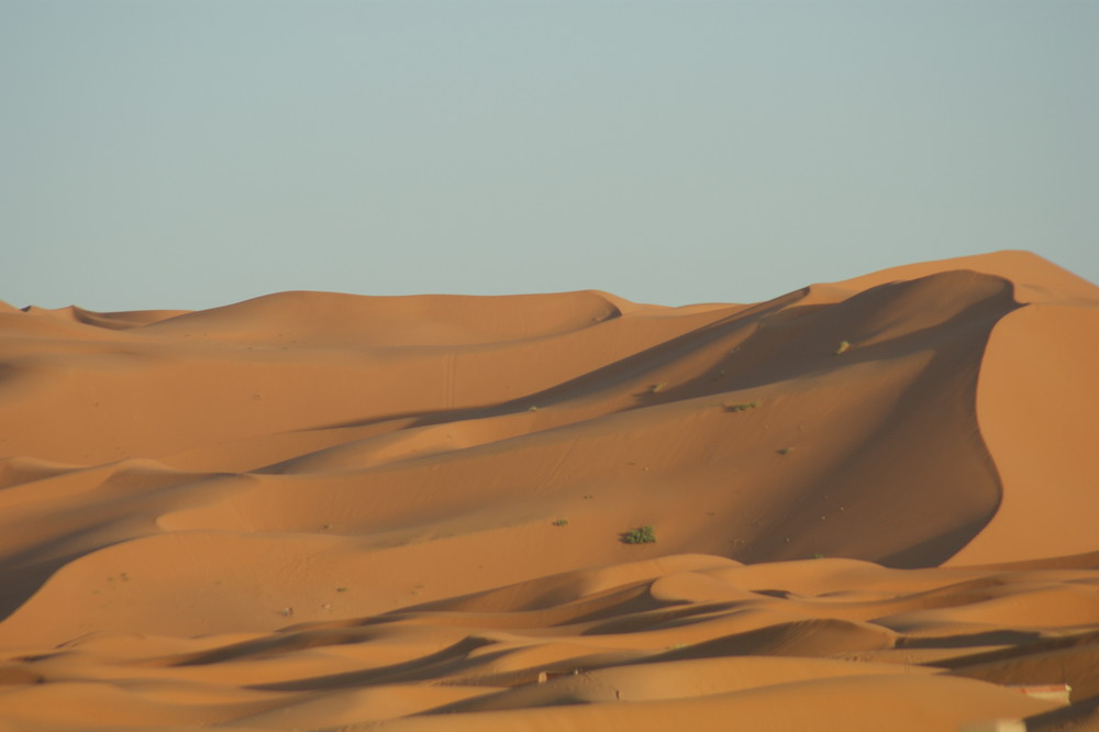 Die Sanddünen in der Nähe von Erfoud