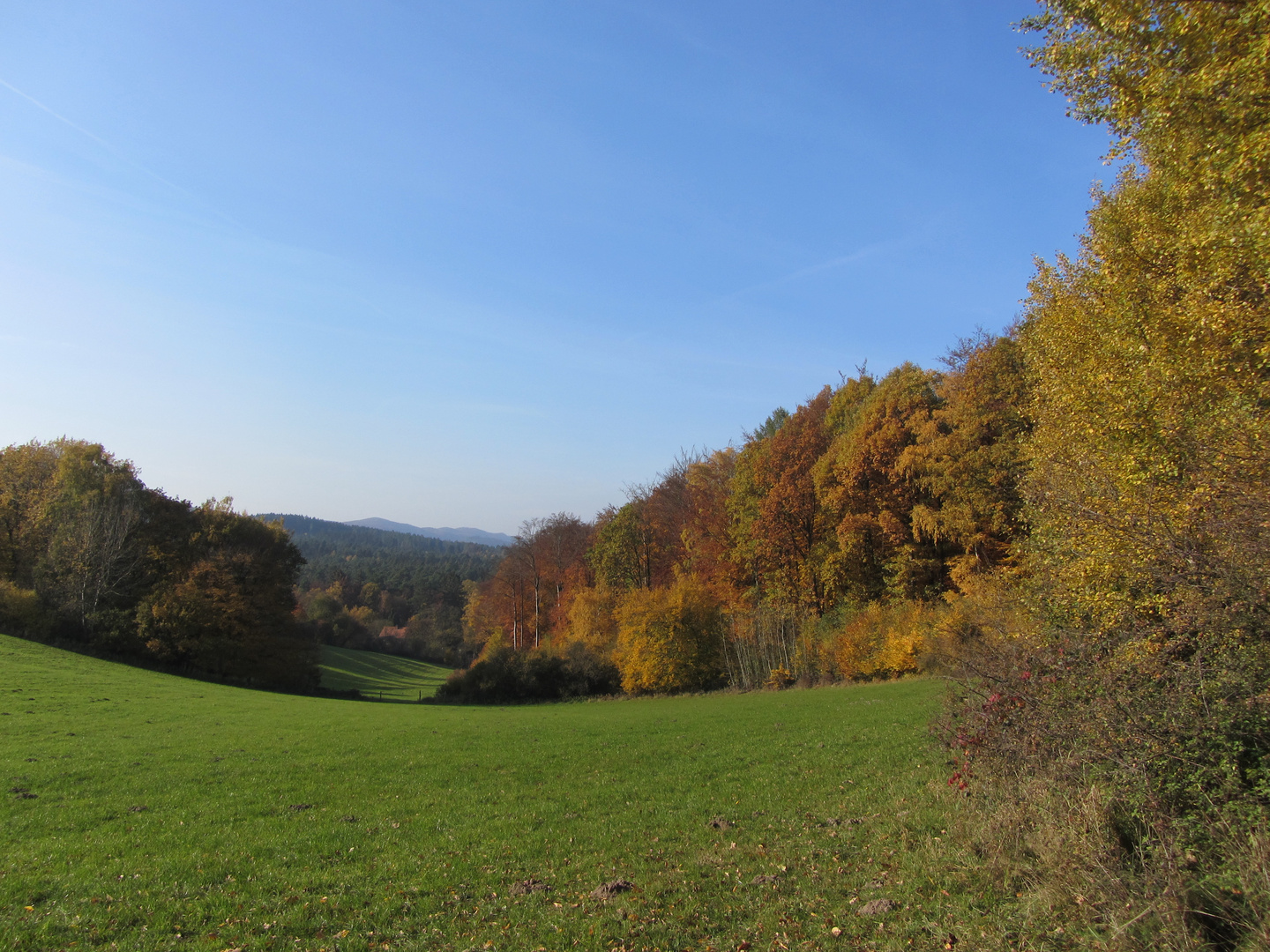 Die sanften Hügel des Teutoburger Waldes