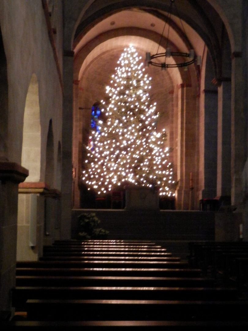 Die Sankt-Lubentius-Basilika (11)