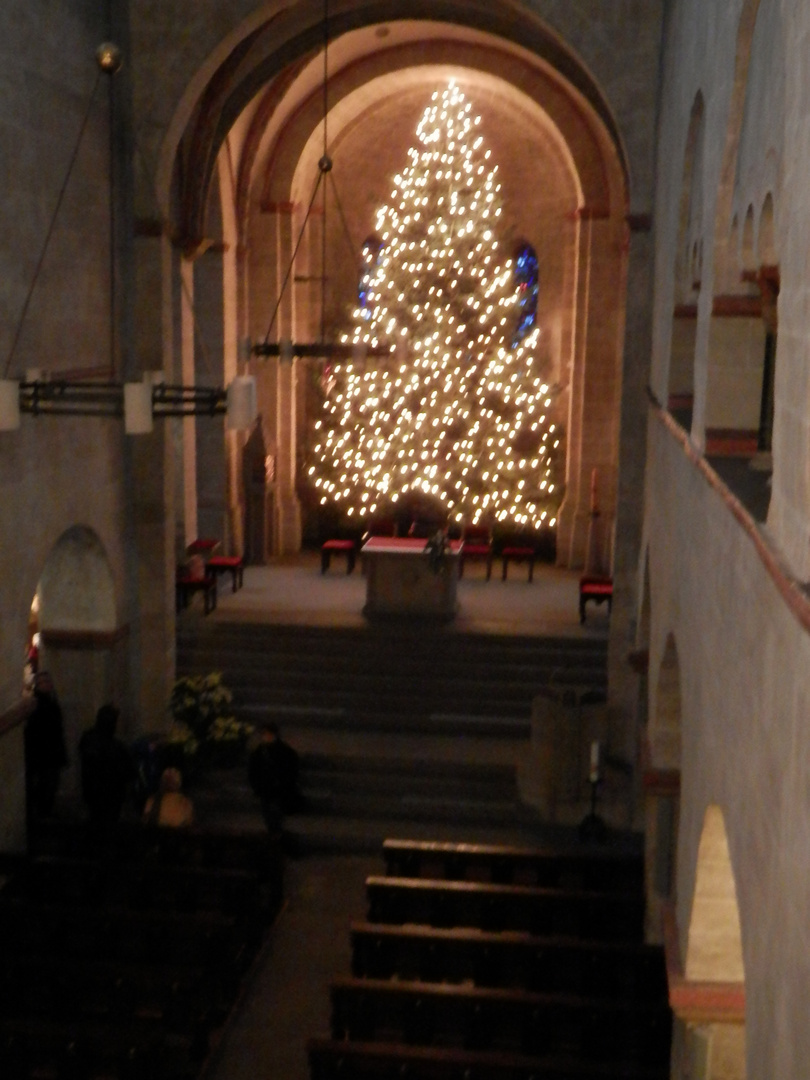 Die Sankt-Lubentius-Basilika (12)