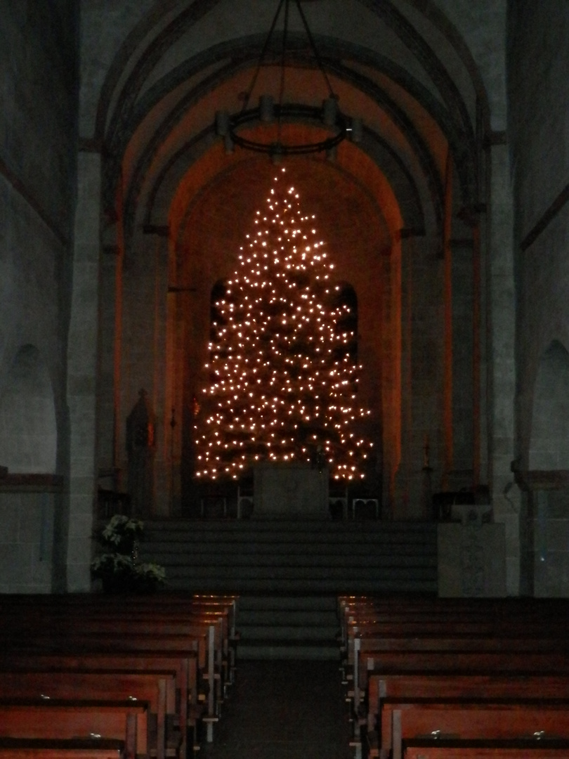 Die Sankt-Lubentius-Basilika (19)