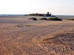 Die Sansibar von Fuerteventura