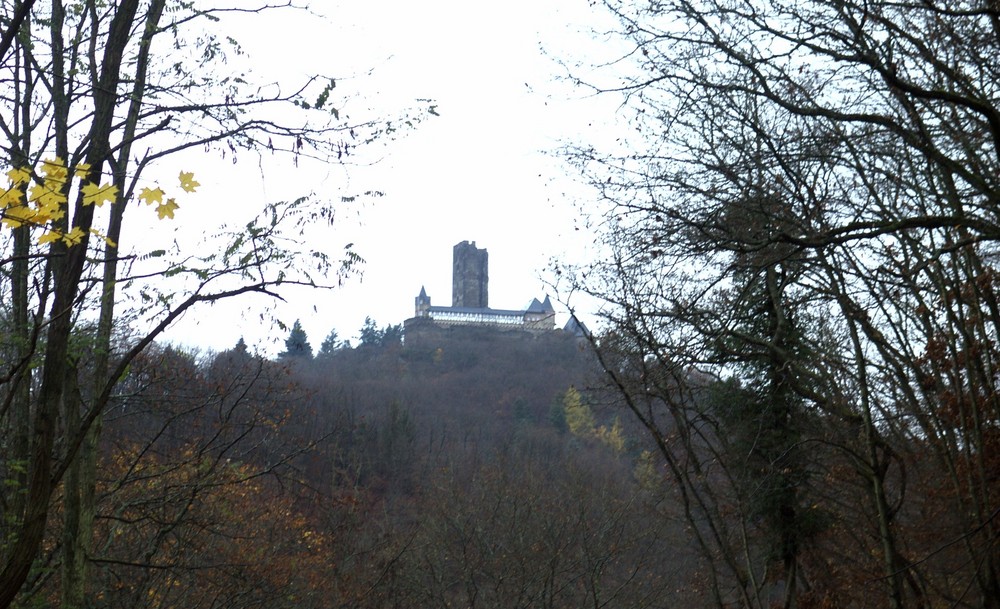 Die Sauerburg