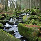 Die Saußbachklamm