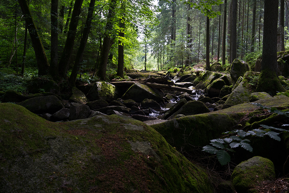 Die Saußbachklamm 2