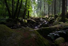 Die Saußbachklamm 2