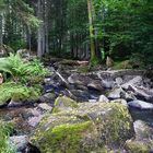 Die Saußbachklamm 3