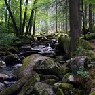 Die Saußbachklamm