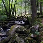 Die Saußbachklamm