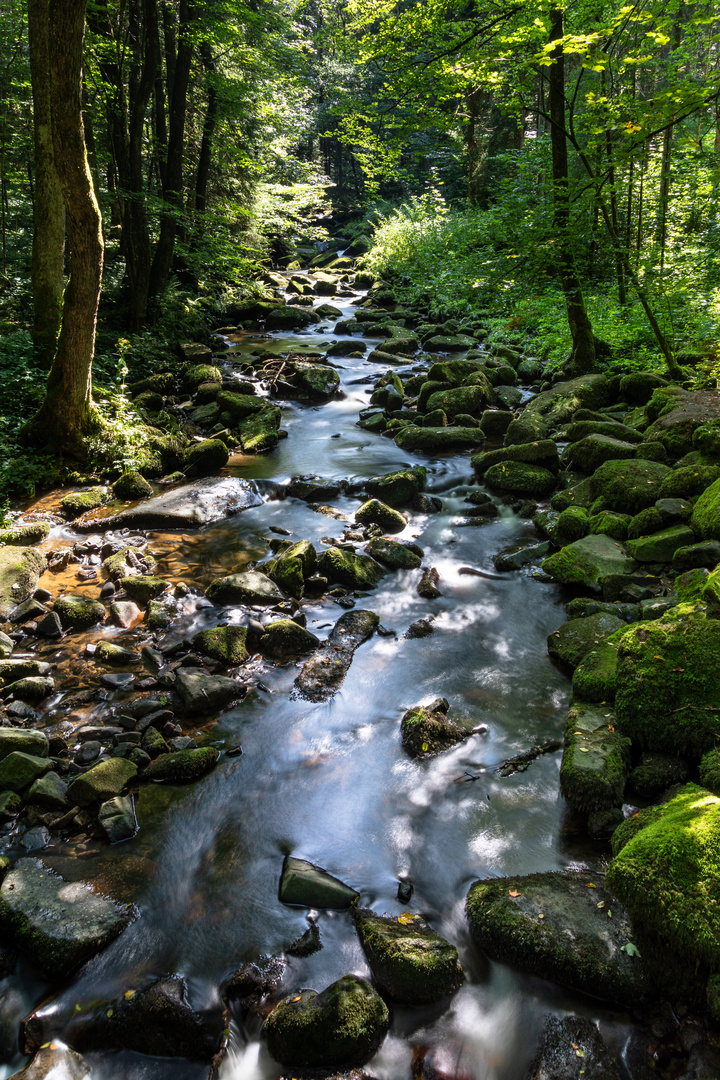 Die Saußbachklamm