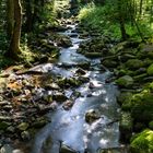 Die Saußbachklamm