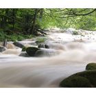 die Saußbachklamm