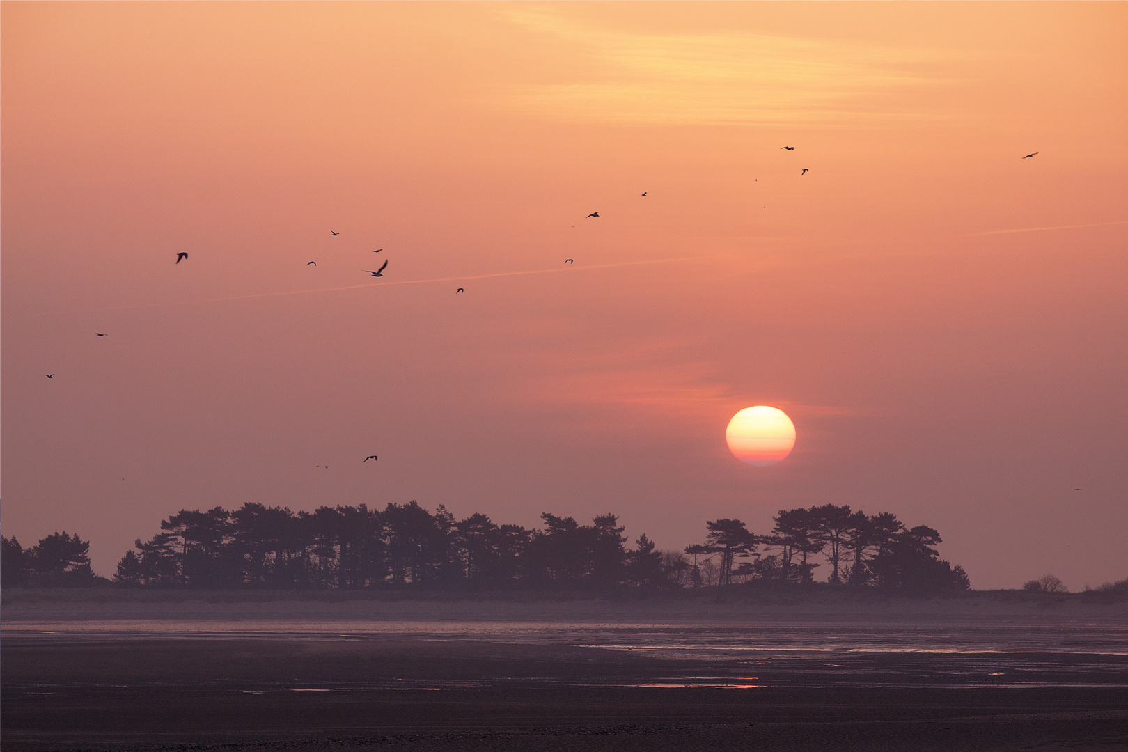 Die Savanne am Meer