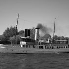 Die Schaarhörn dampfend im Hamburger Hafen.