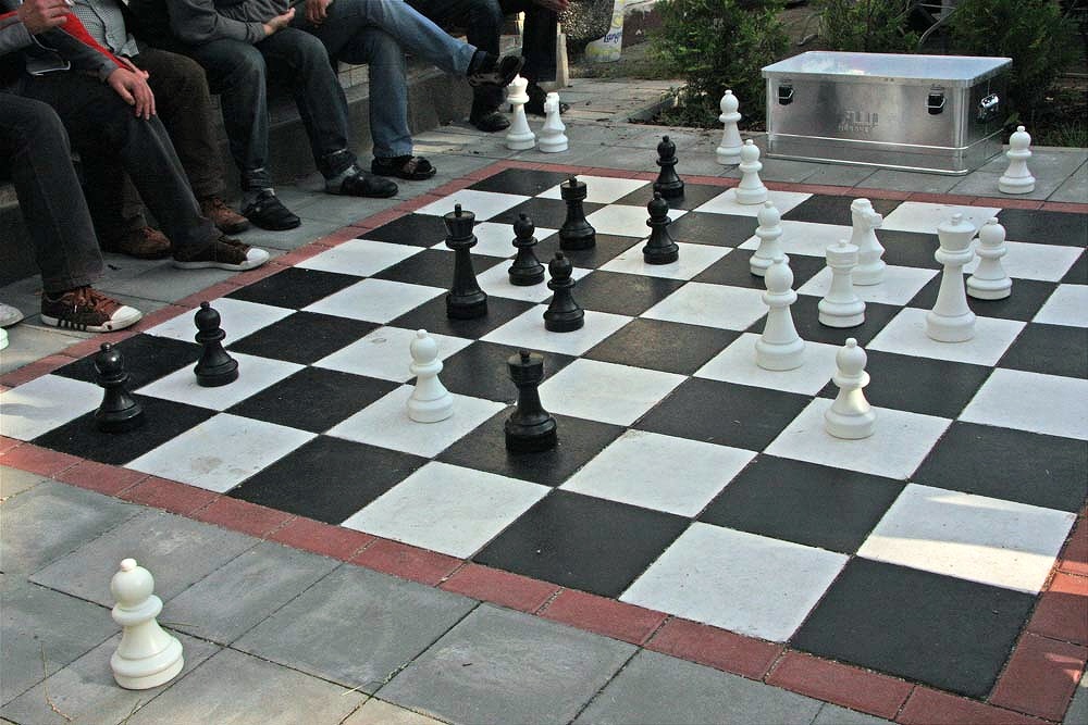 Die Schachpartie