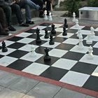 Die Schachpartie