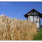 Die Schäferhütte