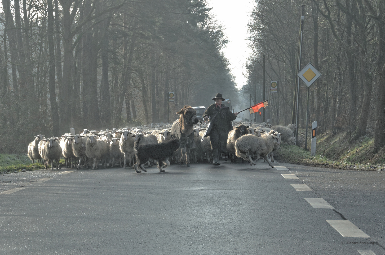 Die Schäferin