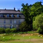 Die Schätze vom Niederrhein -- Haus Caen bei Straelen