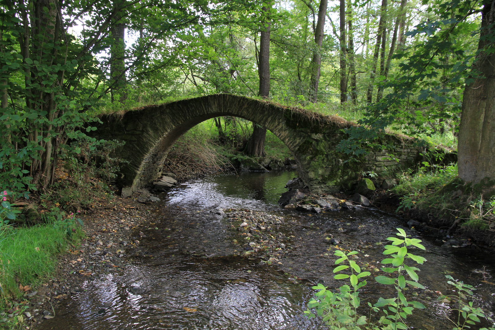 die Schafbrücke im Vogtland