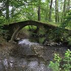 die Schafbrücke im Vogtland