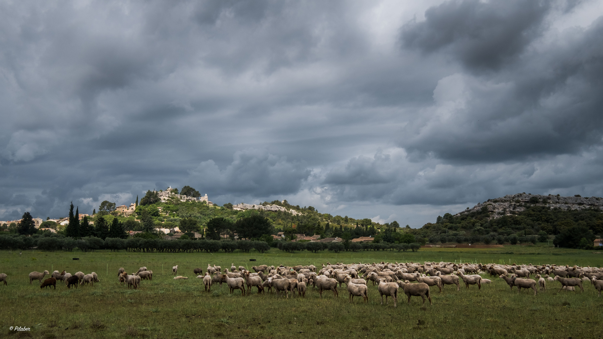 Die Schafskalte Foto Bild Europe France Provence Alpes Cote
