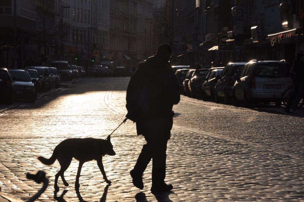 Die Schanze im Gegenlicht 2