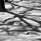 Die Schatten