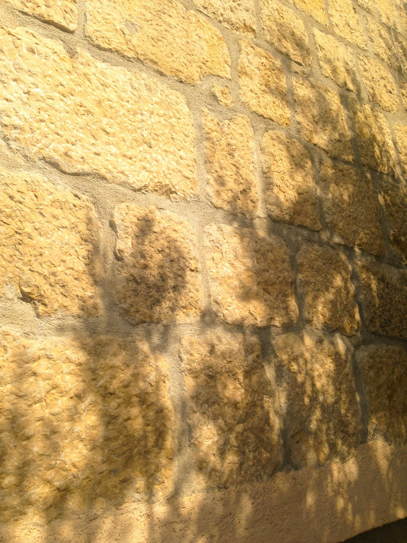 Die Schatten der Bäume auf den Wänden des kroatischen Steinhauses 