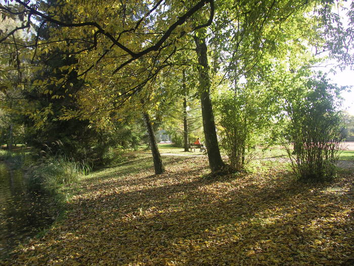 Die Schatten werden länger