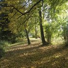 Die Schatten werden länger