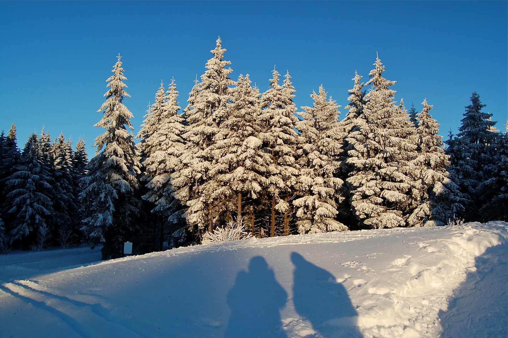 Die Schatten werden länger…