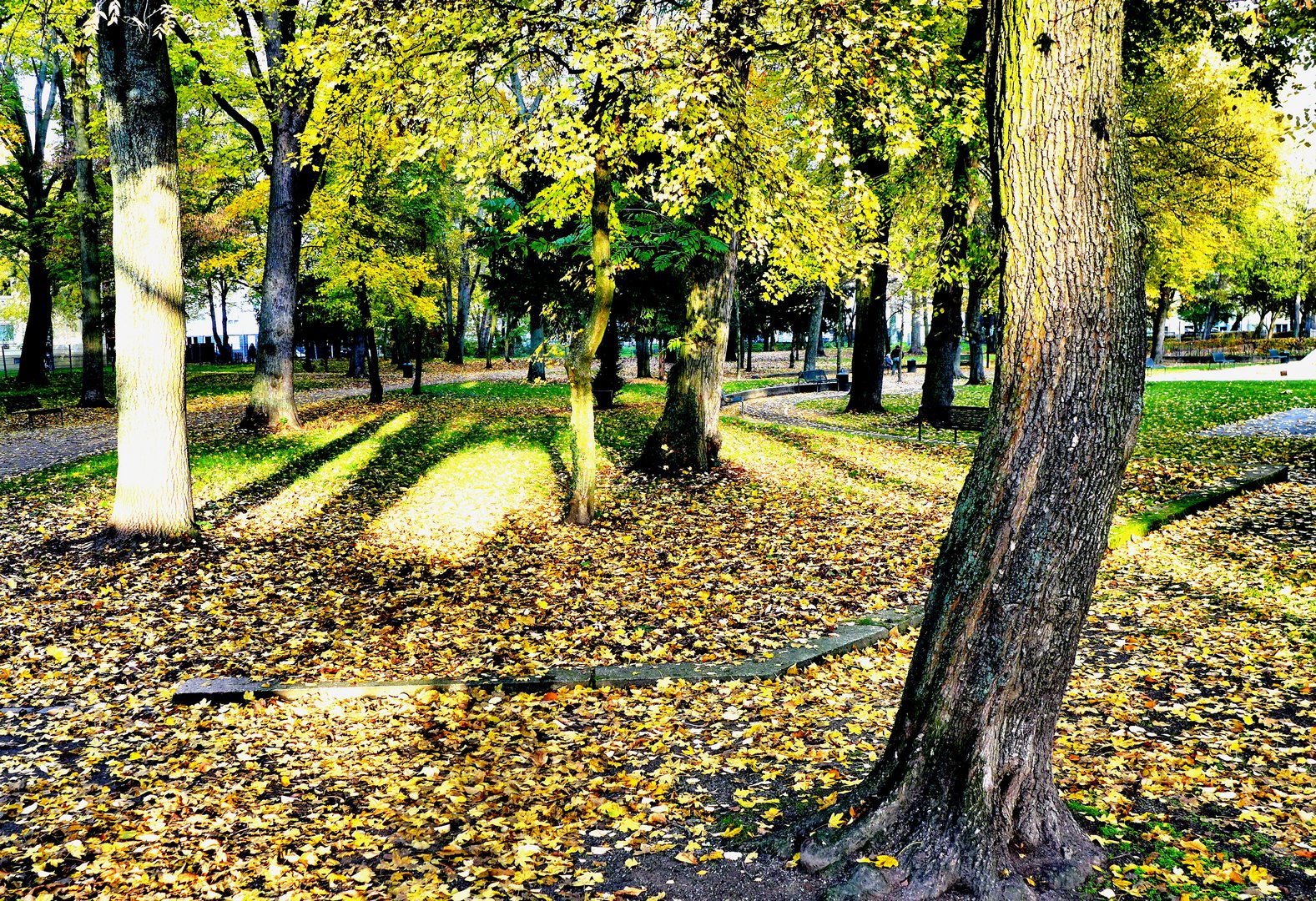 Die Schatten werden länger ...