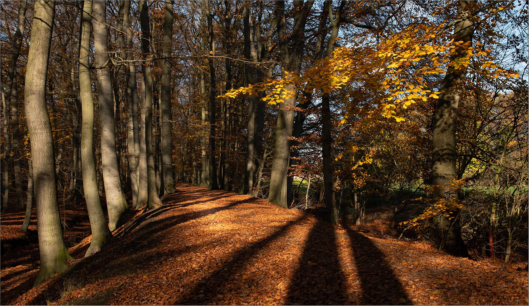 Die Schatten werden länger   . . .