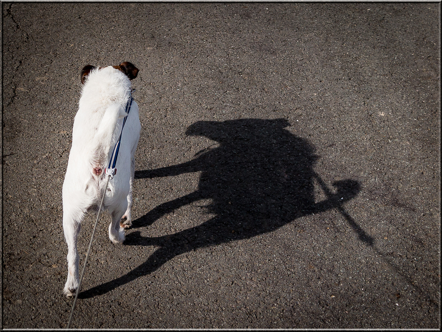 Die Schatten werden länger... 