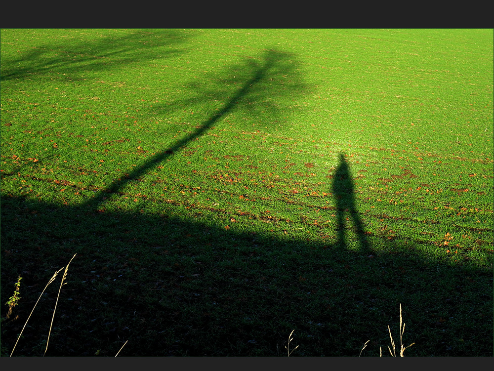 die Schatten werden länger