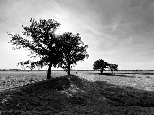 Die Schatten werden länger